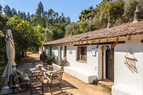 Villa a Monchique, Faro, Monchique - € 395.000 | Ref: SVP2439b - foto 20
