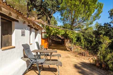 Villa a Monchique, Faro, Monchique - € 395.000 | Ref: SVP2439b - foto 23