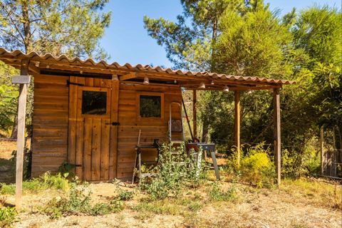 Villa a Monchique, Faro, Monchique - € 395.000 | Ref: SVP2439b - foto 32
