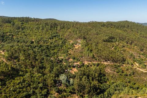 Villa a Monchique, Faro, Monchique - € 395.000 | Ref: SVP2439b - foto 34