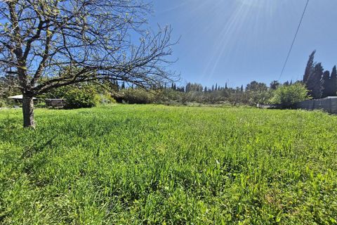 Cortijo i Coin, Malaga, Coin - € 250.000 | Ref: R5347042 - foto 15