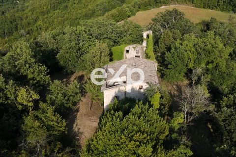 Landejendom i Cagli, Pesaro and Urbino, Cagli - € 360.000 | Ref: exp-011669 - foto 8