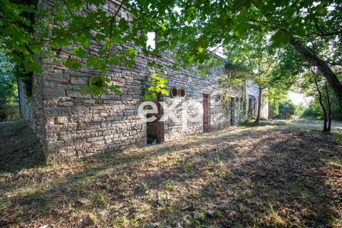 Landejendom i Cagli, Pesaro and Urbino, Cagli - € 360.000 | Ref: exp-011669 - foto 5
