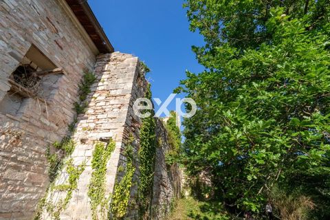 Landejendom i Cagli, Pesaro and Urbino, Cagli - € 360.000 | Ref: exp-011669 - foto 30