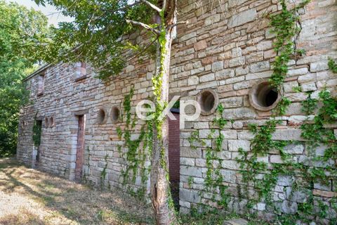 Landejendom i Cagli, Pesaro and Urbino, Cagli - € 360.000 | Ref: exp-011669 - foto 34
