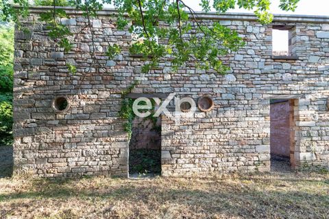 Landejendom i Cagli, Pesaro and Urbino, Cagli - € 360.000 | Ref: exp-011669 - foto 44