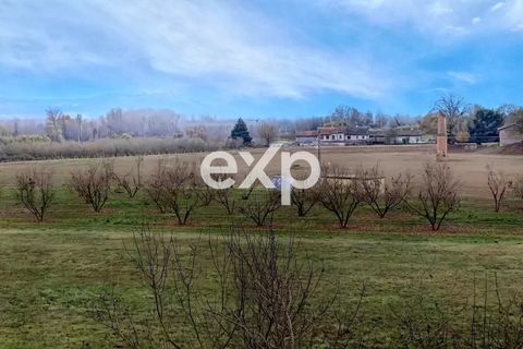 Villa a Asti, Asti, Asti - € 220.000 | Ref: Frazione Variglie 129 - foto 39