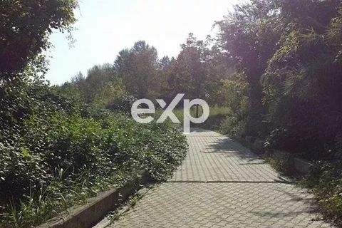 Villa a Asti, Asti, Asti - € 295.000 | Ref: Cascina Asti Reg Santo Spirito - foto 34