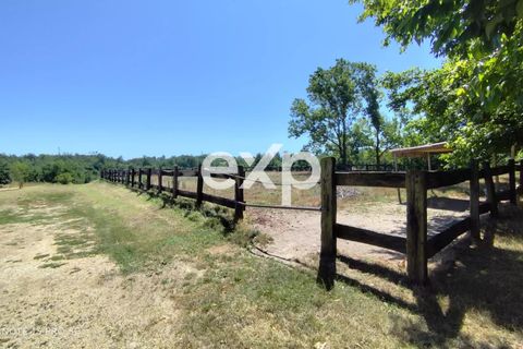Erhvervsejendom i Asti, Asti, Asti - € 500.000 | Ref: Antico Monastero - foto 28