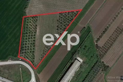 Helårsgrund i Vasto, Chieti, Vasto - € 130.000 | Ref: CL25002 - foto 1