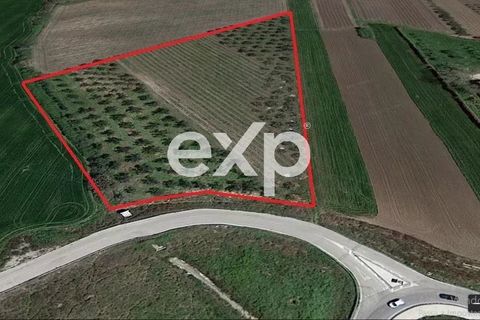 Helårsgrund i Vasto, Chieti, Vasto - € 130.000 | Ref: CL25002 - foto 2