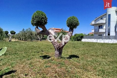 Helårsgrund i Vasto, Chieti, Vasto - € 58.000 | Ref: CL25012 - foto 2