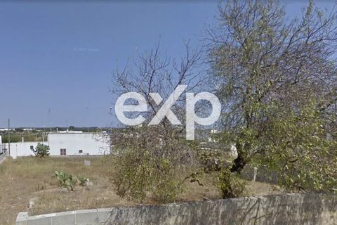 Terra a Specchia, Lecce, Specchia - € 45.000 | Ref: SMF22 - foto 20