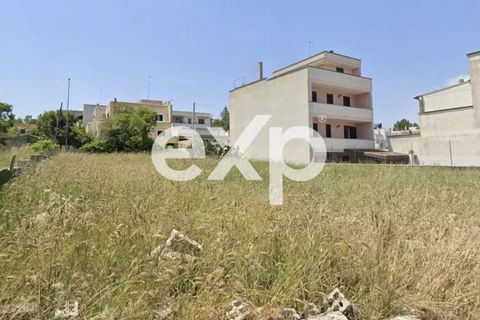 Terra a Specchia, Lecce, Specchia - € 45.000 | Ref: SMF22 - foto 21