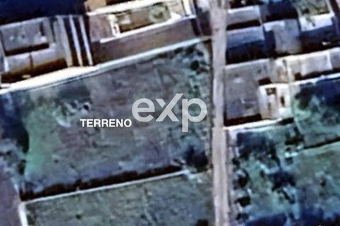 Terra a Specchia, Lecce, Specchia - € 45.000 | Ref: SMF22 - foto 23