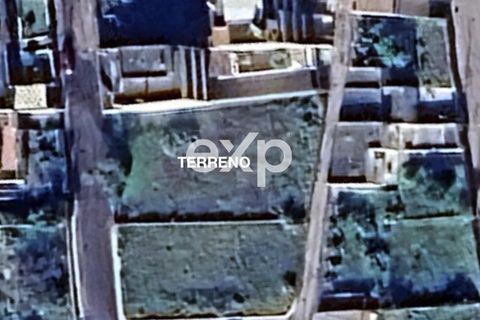 Terra a Specchia, Lecce, Specchia - € 45.000 | Ref: SMF22 - foto 24