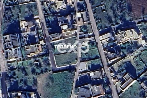 Terra a Specchia, Lecce, Specchia - € 45.000 | Ref: SMF22 - foto 25