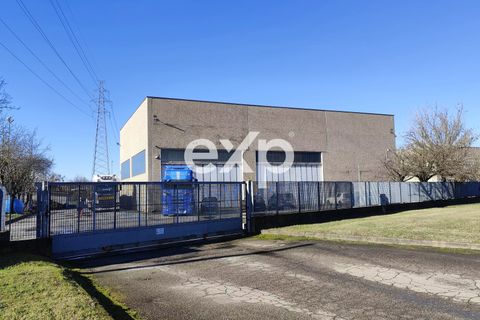 Erhvervsejendom i Asti, Asti, Asti - € 800.000 | Ref: autotrasporto - foto 3