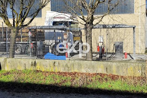 Erhvervsejendom i Asti, Asti, Asti - € 800.000 | Ref: autotrasporto - foto 5