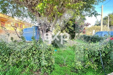 Villa a Rometta, Messina, Rometta - € 210.000 | Ref: exp-011484 - foto 16