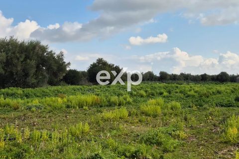 Landejendom i Ispica, Ragusa, Ispica - € 390.000 | Ref: exp-011488 - foto 7