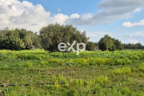 Landejendom i Ispica, Ragusa, Ispica - € 390.000 | Ref: exp-011488 - foto 9