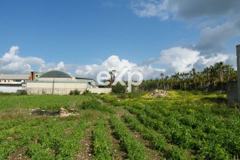 Landejendom i Ispica, Ragusa, Ispica - € 390.000 | Ref: exp-011488 - foto 16