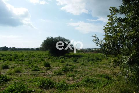 Landejendom i Ispica, Ragusa, Ispica - € 390.000 | Ref: exp-011488 - foto 30