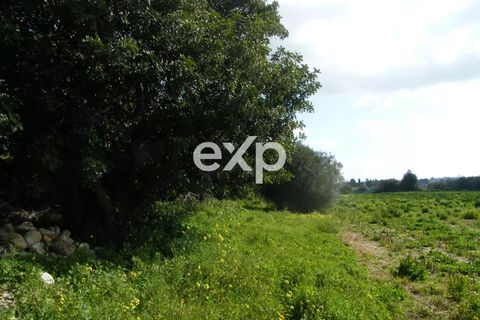 Landejendom i Ispica, Ragusa, Ispica - € 390.000 | Ref: exp-011488 - foto 31