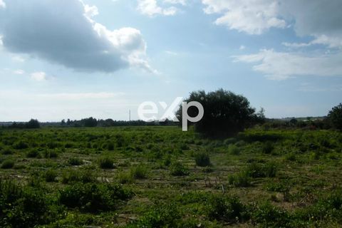 Landejendom i Ispica, Ragusa, Ispica - € 390.000 | Ref: exp-011488 - foto 32