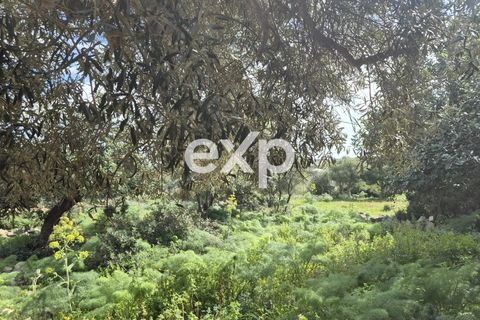 Villa i Modica, Ragusa, Modica - € 620.000 | Ref: exp-011941 - foto 14