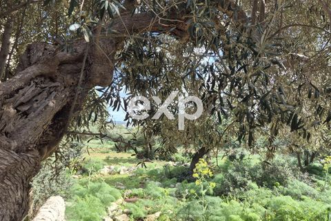 Villa i Modica, Ragusa, Modica - € 620.000 | Ref: exp-011941 - foto 15