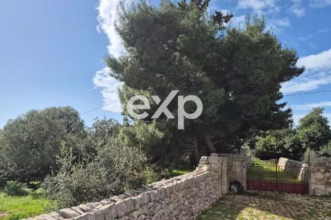Villa i Modica, Ragusa, Modica - € 620.000 | Ref: exp-011941 - foto 17