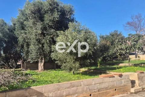 Villa i Modica, Ragusa, Modica - € 170.000 | Ref: exp-011944 - foto 14