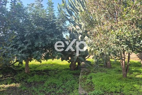 Villa i Modica, Ragusa, Modica - € 170.000 | Ref: exp-011944 - foto 20