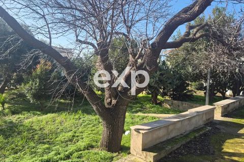 Villa i Modica, Ragusa, Modica - € 170.000 | Ref: exp-011944 - foto 23