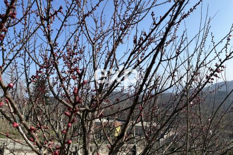 Villa a Pisano, Novara, Pisano - € 250.000 | Ref: exp-011923 - foto 22