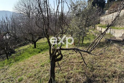 Villa a Pisano, Novara, Pisano - € 250.000 | Ref: exp-011923 - foto 29