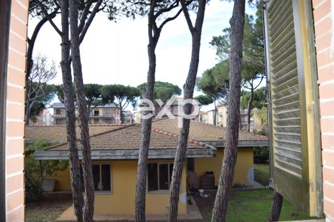 Lejlighed i Grosseto, Grosseto, Grosseto - € 300.000 | Ref: exp-011958 - foto 14