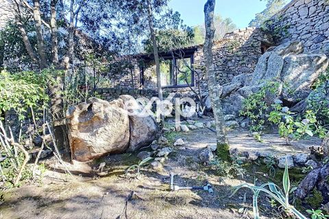 Villa i Arzachena, Sassari, Arzachena - € 3.000.000 | Ref: exp-01183 - foto 19