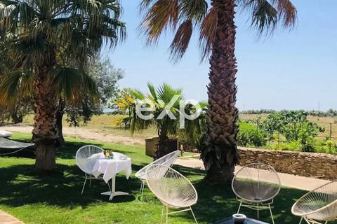 Villa i Caltagirone, Catania, Caltagirone - € 685.000 | Ref: exp-011798 - foto 15