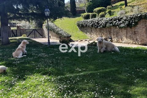 Villa a Arezzo, Arezzo, Arezzo - € 1.400.000 | Ref: exp-011976 - foto 5
