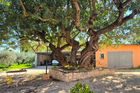 Villa i Ontinyent, Valencia, Ontinyent - € 295.000 | Ref: LOSDH3549 - foto 22