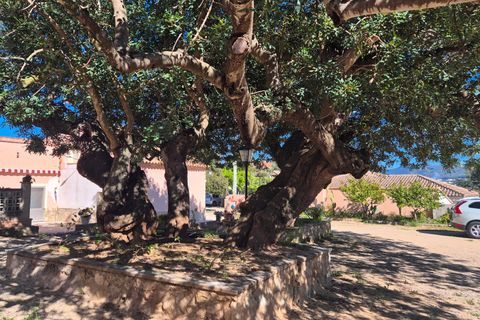 Villa i Ontinyent, Valencia, Ontinyent - € 295.000 | Ref: LOSDH3549 - foto 21