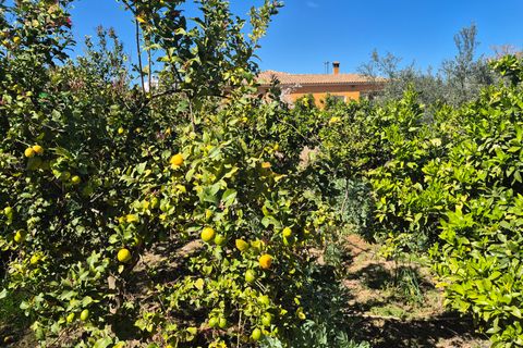 Villa i Ontinyent, Valencia, Ontinyent - € 315.000 | Ref: LOSDH3548 - foto 4