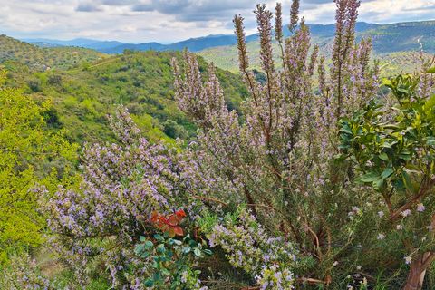Masia a Colmenar, Malaga, Colmenar - € 85.000 | Ref: AX1435 - foto 8