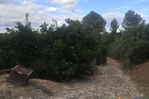 Helårsgrund i Sellent, Valencia, Sellent - € 31.000 | Ref: PNPT0025 - foto 12