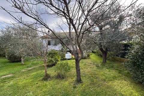 Villa i Grosseto, Grosseto, Grosseto - € 549.000 | Ref: a6455rv2556210a - foto 3