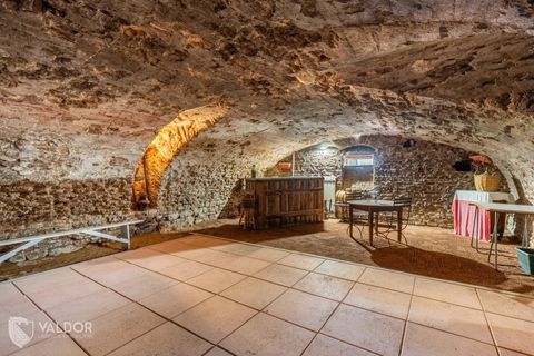 Villa a Cogny, Rhone, Cogny - € 599.000 | Ref: 86839618 - foto 19