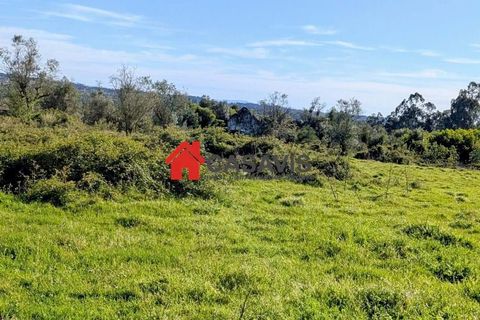 Farm hus i Mangualde, Viseu, Mangualde - € 149.000 | Ref: CA456678 - foto 1